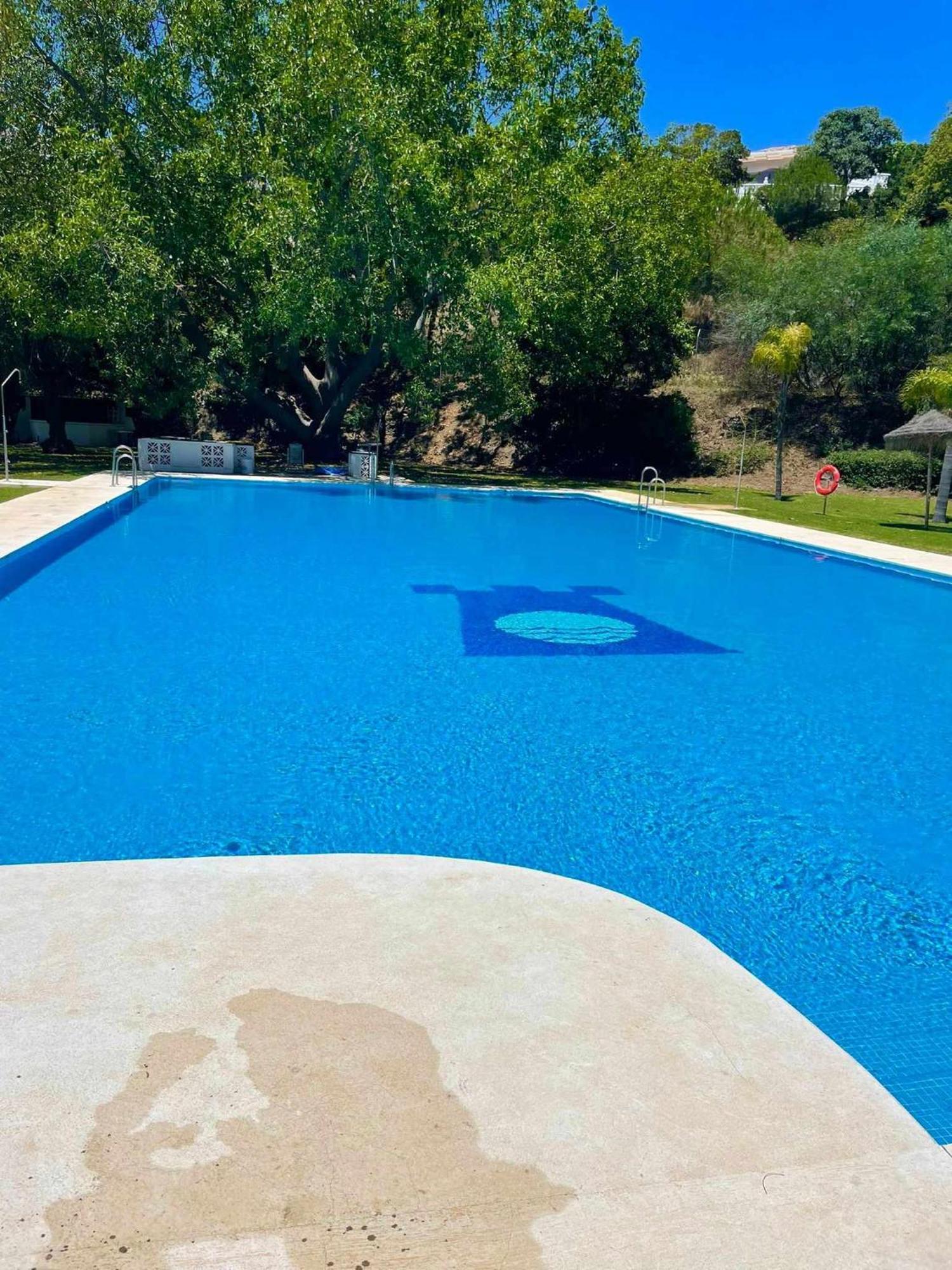 La Villa Escondida 1 Precioso Estudio Vista Al Mar Malaga Zewnętrze zdjęcie